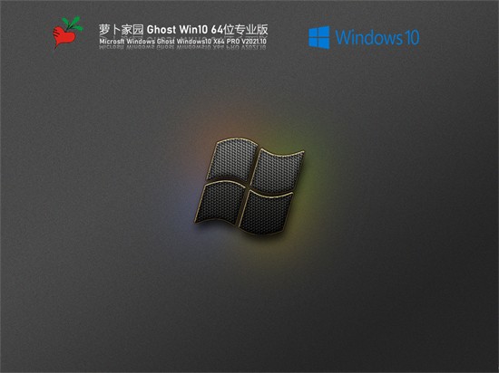 萝卜家园win10系统专业版