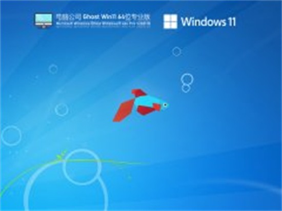 电脑公司win11专业版64位 v2022