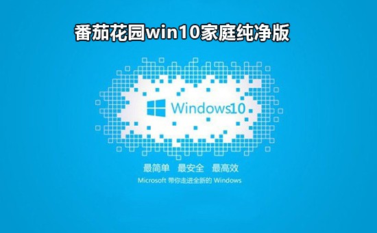 番茄花园win10家庭版镜像文件 v2022