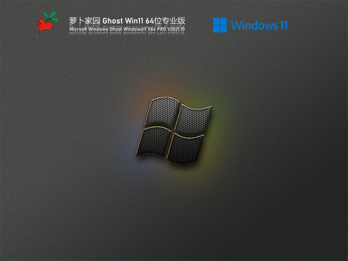 萝卜家园win11专业版最新版
