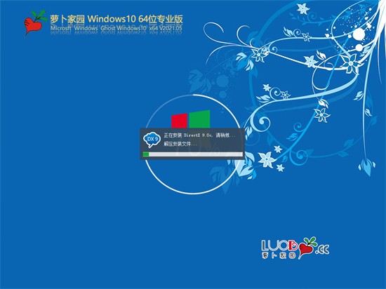 萝卜家园windows10专业装机版64位