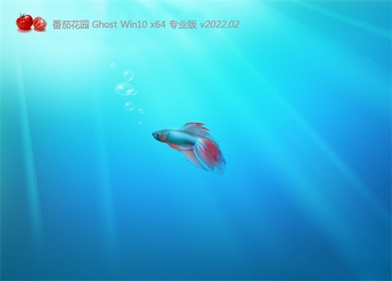 番茄花园windows10平板专用版 v2022