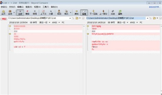 Beyond Compare汉化免费版 v4.3.4