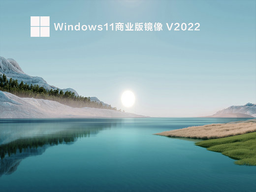 大地系统windows11商业版镜像 v2022
