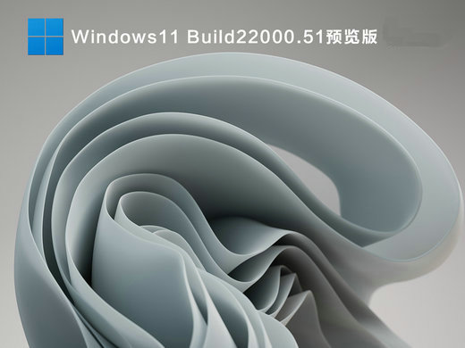 windows11官方预览版2200051 