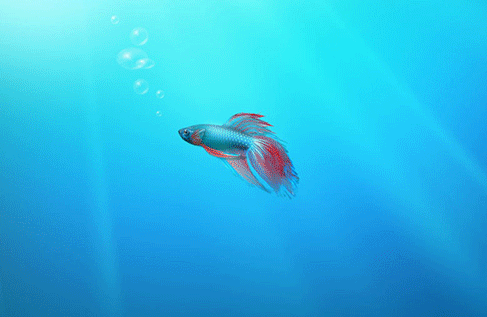 番茄花园ghost xp sp3 2014办公装机版 v2014