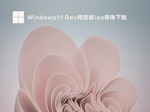 Win11 Dev预览版22598.200镜像