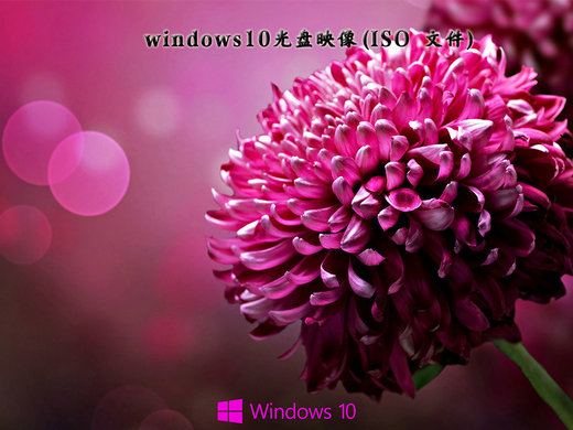 windows10完整正版光盘映像iso v2022