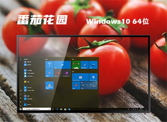 番茄花园win10轻量精简版 v2022