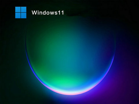 windows11专业版镜像文件下载官网版 v2022