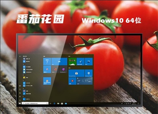 番茄花园win10系统映像文件下载