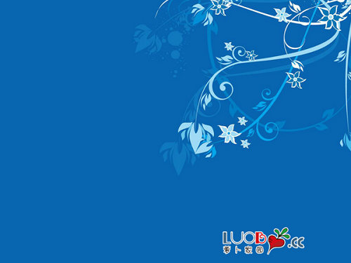 新萝卜家园xp3经典珍藏版 v2022