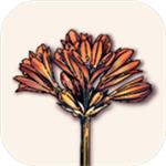 6栋301房免费苹果版