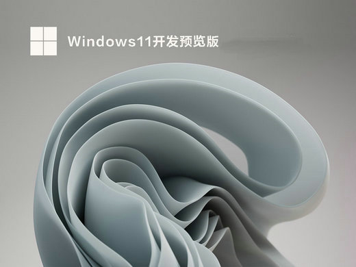 win11开发者预览版 v2022