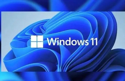 windows1132位精简版