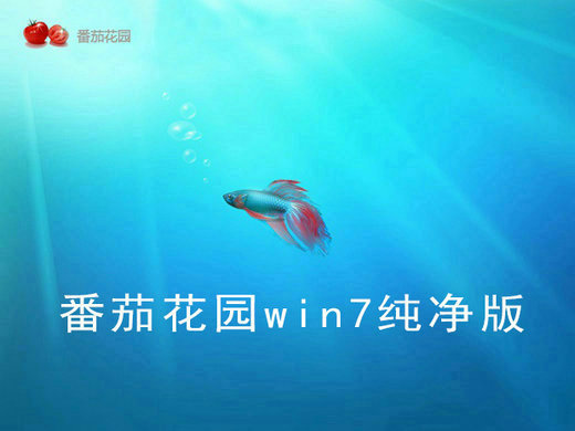 番茄花园win7系统32位纯净版