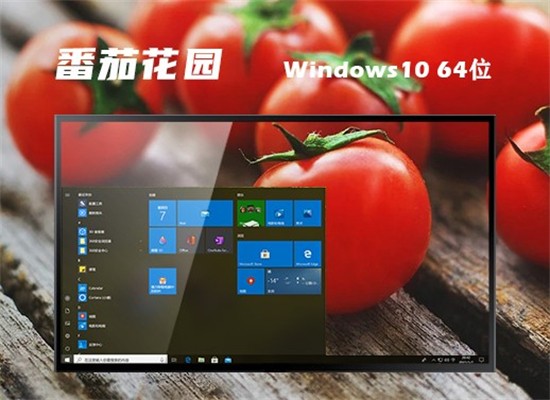 番茄花园win10俄罗斯精简版最新 v2022