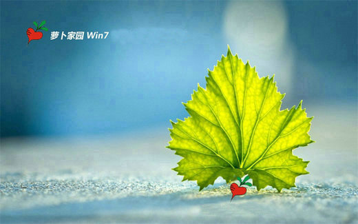 萝卜家园win7家庭高级版32位镜像下载 v2022