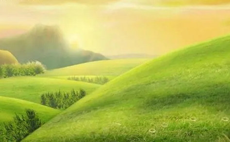 萝卜家园win10专业版镜像下载官网版 v2022