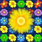 天花乱醉手机版