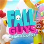 糖豆人终极淘汰赛国际服