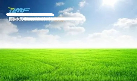 雨林木风winxp ghost纯净版32位