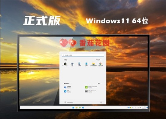 番茄花园win11iso镜像文件32位