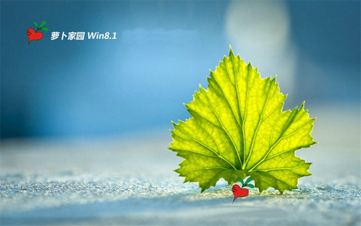 萝卜家园win8.1免激活专业版 v2022