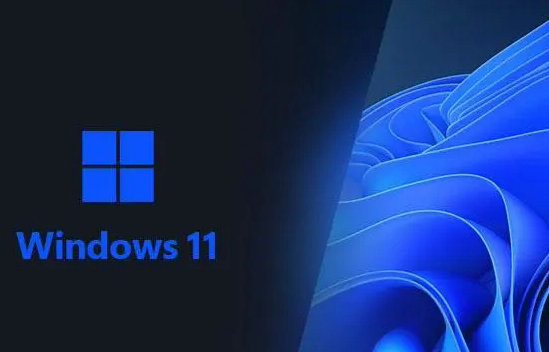 深度技术win11专业版纯净免激活版 v2022