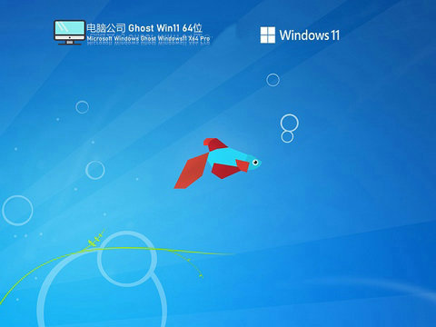 电脑公司Ghost win11全能定制版 v2022
