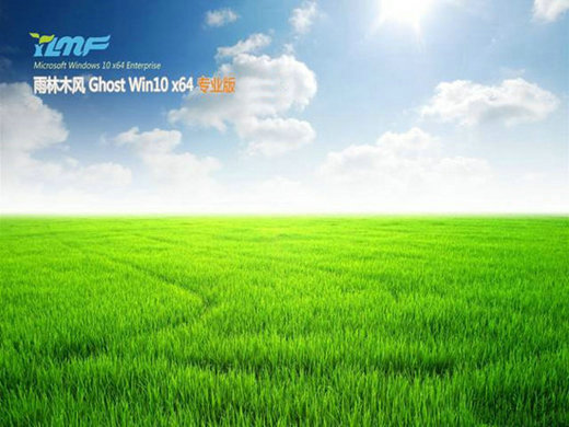 雨林木风Ghost Win10标准专业版 v2021.03