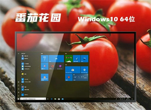 番茄花园win10办公流畅版