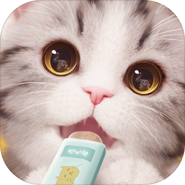 我和我的猫