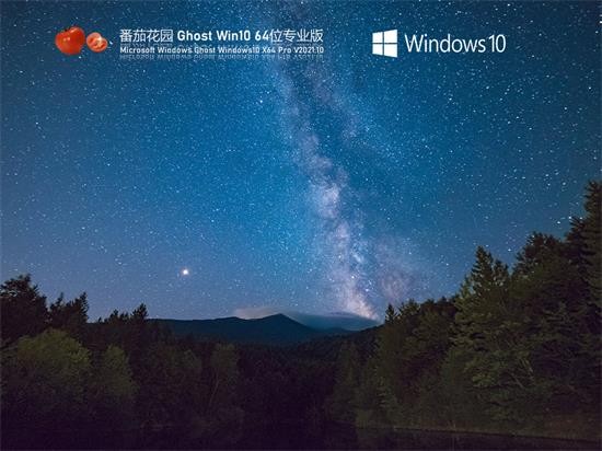 番茄花园Ghost Win10专业版 v2022