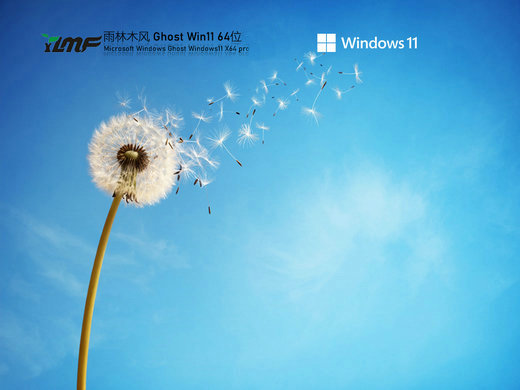 雨林木风Ghost Win11正式装机版 v2022.09