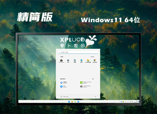 萝卜家园Ghost Win11精简专业版