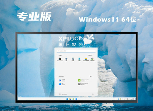 萝卜家园Ghost Win11专业完整版