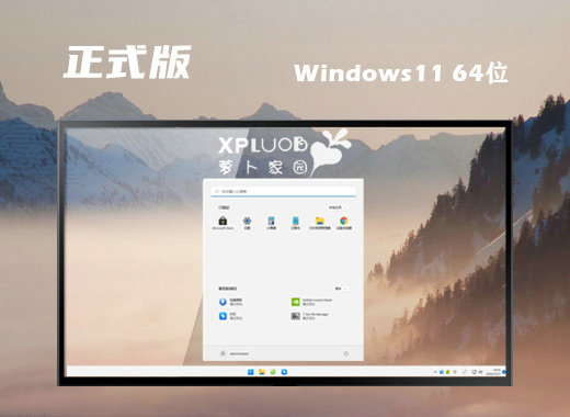 萝卜家园Ghost Win11完整正式版