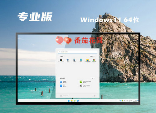 番茄花园Ghost Win11专业极简版 v2022.10