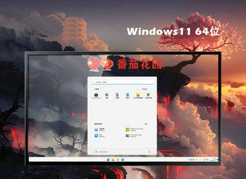 番茄花园Ghost Win11高级装机版 v2022.10