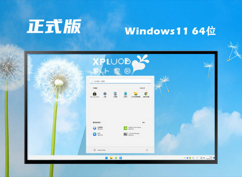 萝卜家园Ghost Win11高效正式版 v2022.10
