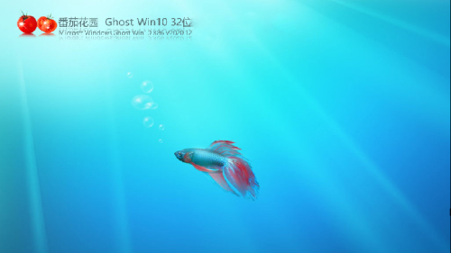 番茄花园ghost win10专业改良版