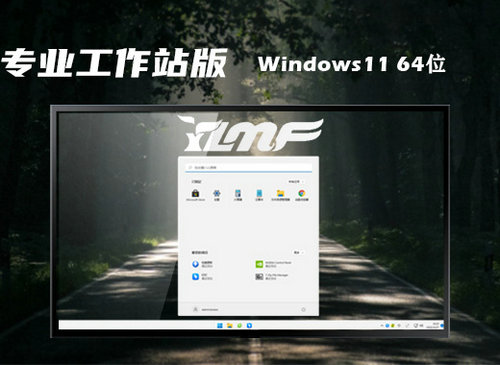 雨林木风Win11 22H2专业工作站版