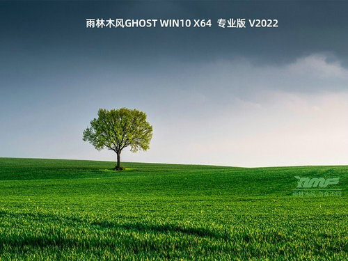 雨林木风Ghost Windows10特别专业版 v2022.10