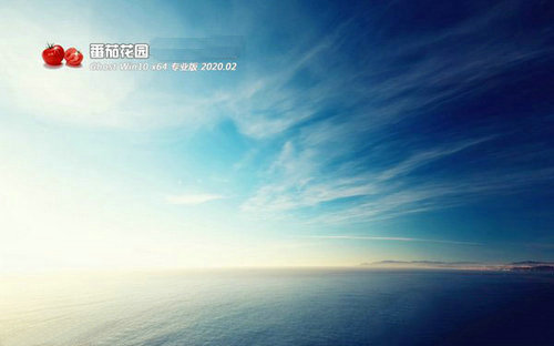 番茄花园Ghost Win10万能专业版 v2020.02