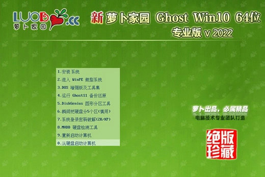 萝卜家园win10 x64专业精英版 v2022.11