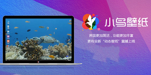 小鸟壁纸 v3.1122