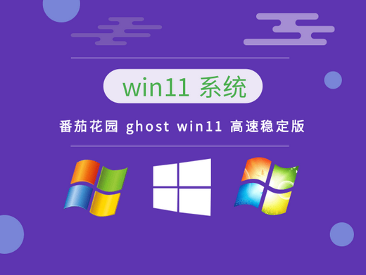 番茄花园ghost win11高速稳定版 v2022.11