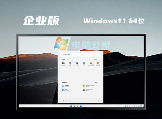 电脑公司Win11 22H2企业预装版