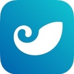 token交易所app